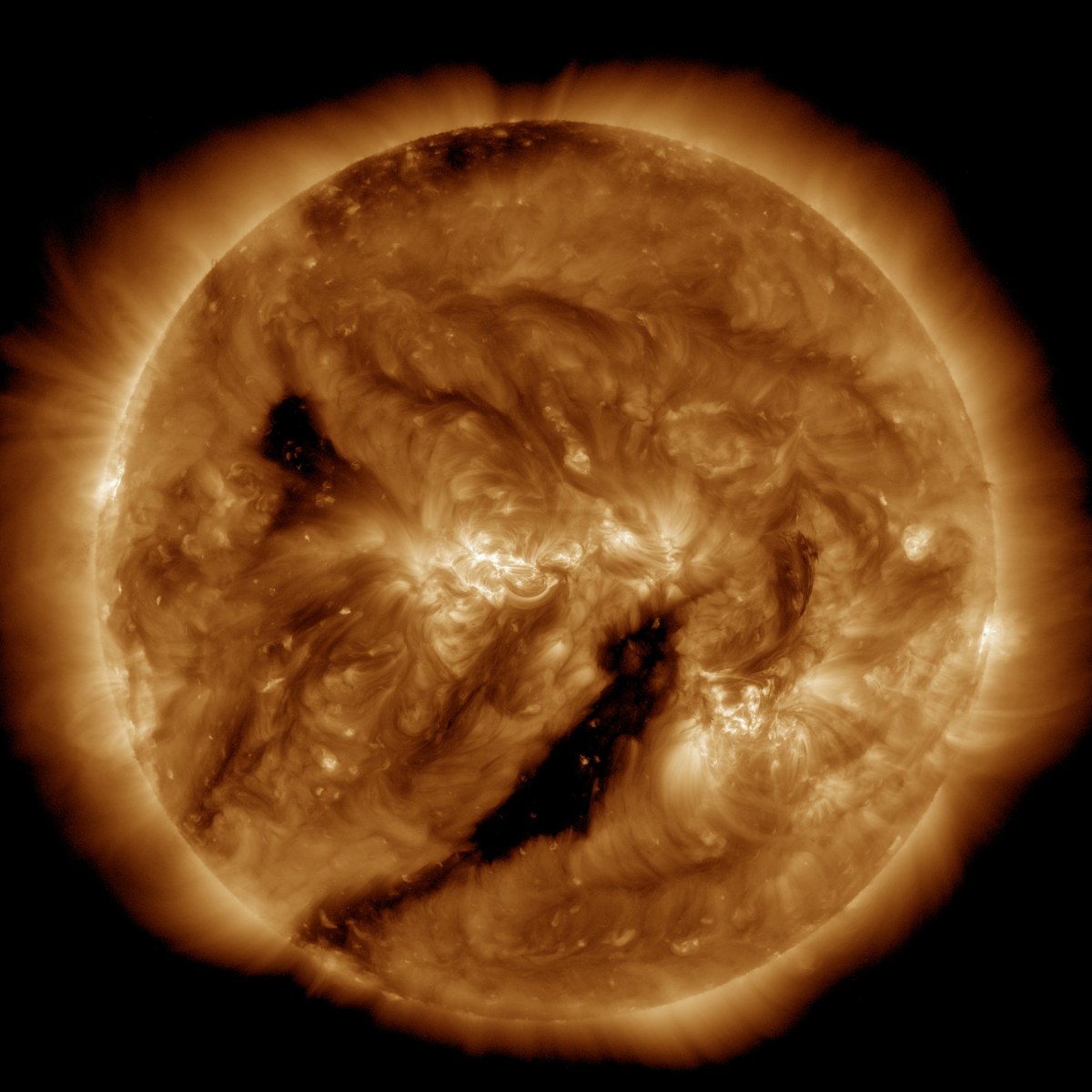 The Sun seen by NASA's Solar Dynamics Observatory in extreme ultraviolet light, glowing copper and gold against black space, with bright looping magnetic arcs near the center and long, dark irregular patches stretching across the lower half of the disk.